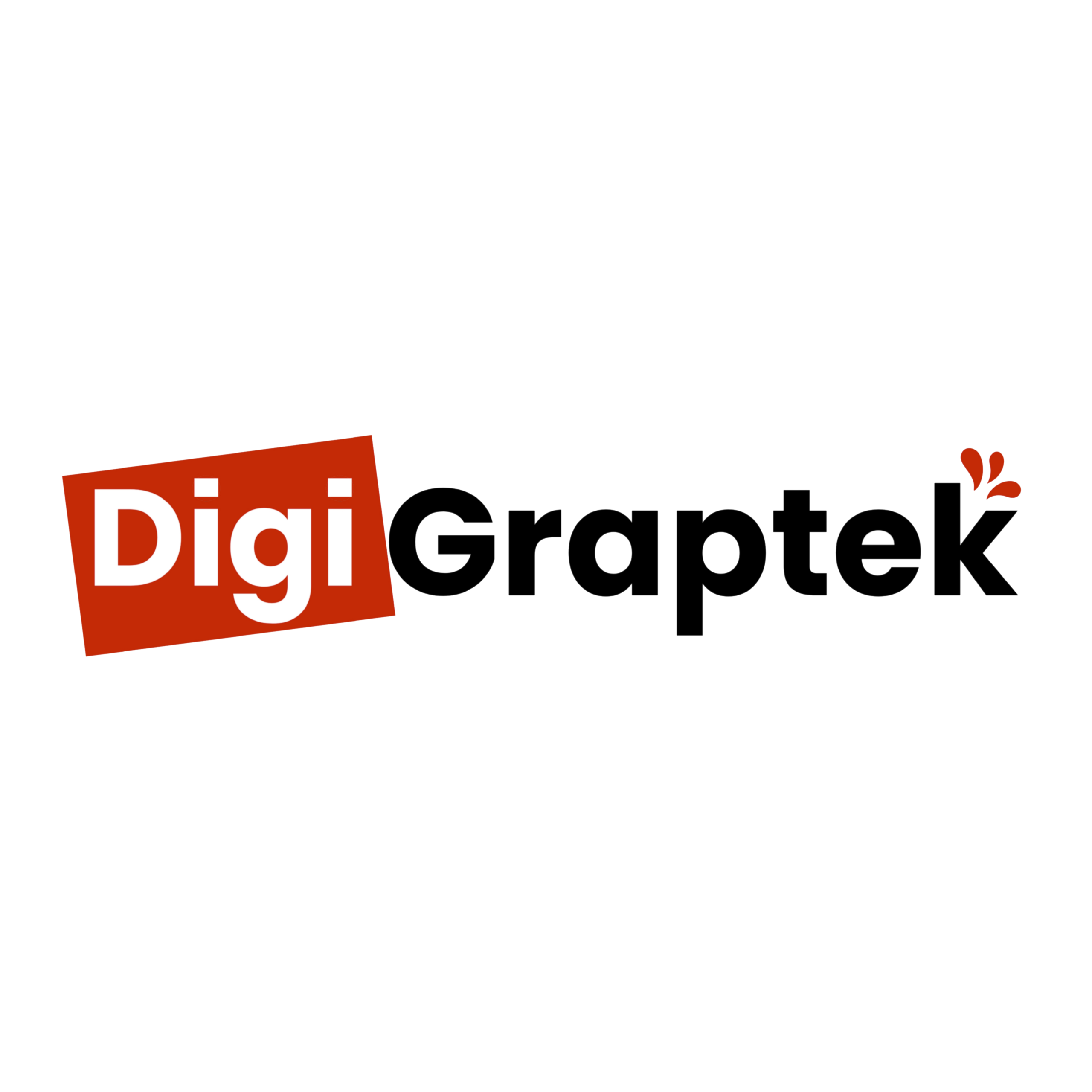About digigraptek logo